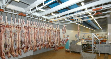 Дезинсекция на мясокомбинате в Дмитрове, цены на услуги